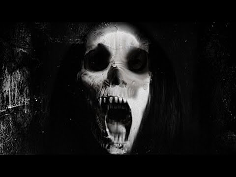 Nexxor - Frequenzzigeuner