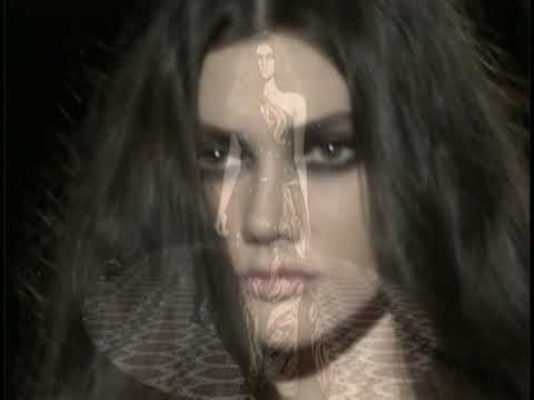 Gucci/Fall/Winter /2008-2009/