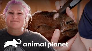 Thumbnail del capítulo