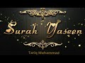 Best Recitation Of SURAH YASEEN With English Translation TARIQ MOHAMMAD The Muslim Vibes