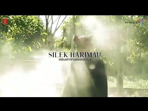 Silek Harimau Minangkabau