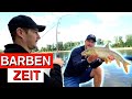 BARBECUE ARE CATCHING THIS NOW Sandbank On The Rhine TOP SPOT