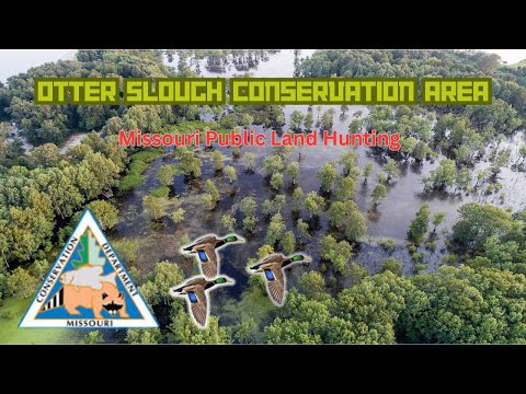 Otter Slough Duck Hunting (Breakdown) where to hunt