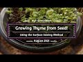 The Secret 🗝️ to Starting Thyme Seeds 🌿 (Higher Germination Rate!)