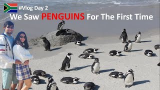 We Saw Penguins in South Africa | Couple Road Trip South Africa | South Africa Vlog Indian