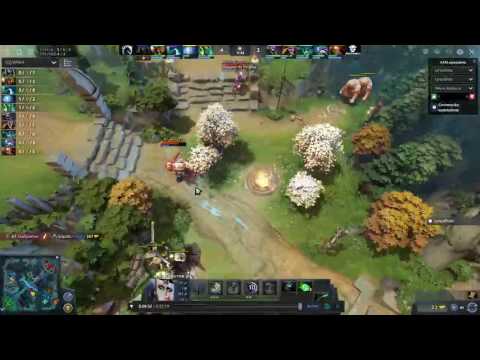 Dota 2 Team Liquid X Team AD FINEM