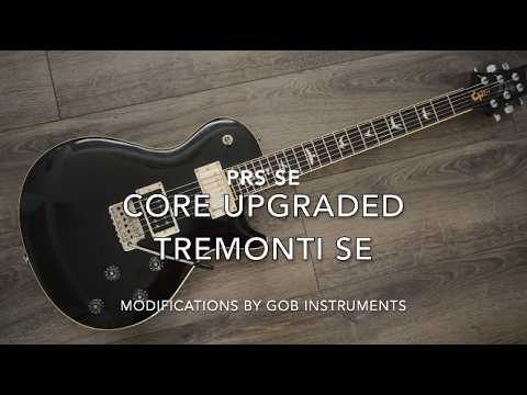 Paul Reed Smith PRS SE USA Upgraded Mark Tremonti SE Signature with Core USA Pickups image 14