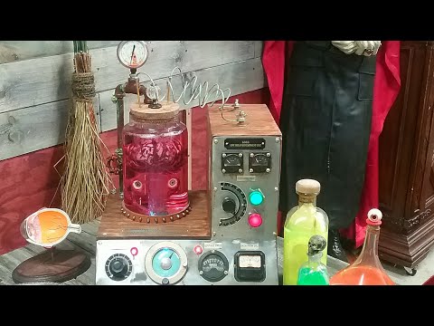 BRAIN IN A JAR working laboratory/ mad scientist prop|Cobwebs and Candlesticks