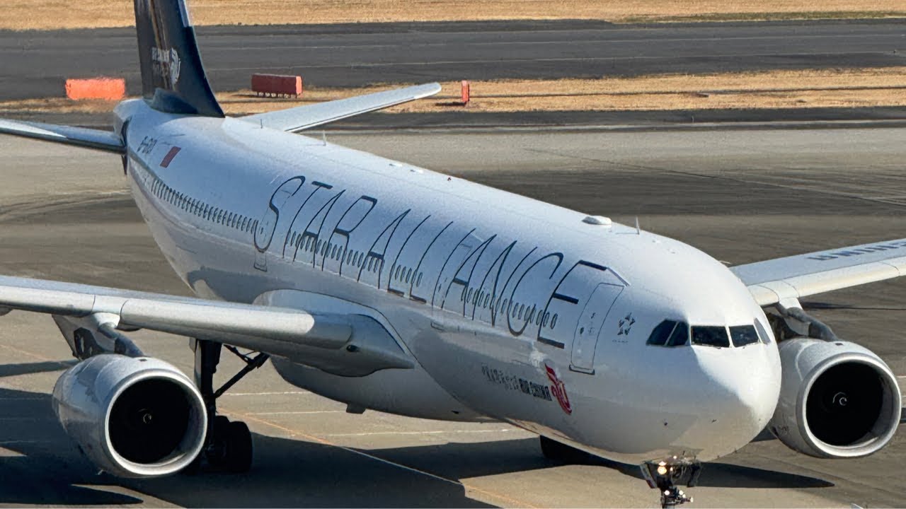 今日も羽田空港ルーティンしてきました🍋LIVE