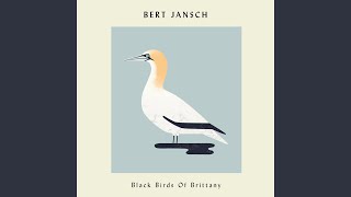 Black Birds Of Brittany