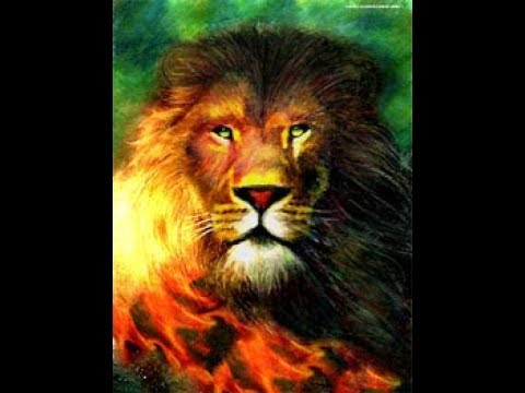 Nebelbal -  AHUNEMA - አሁንማ