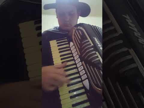 Música do grande gaiteiro  Érico Darci...