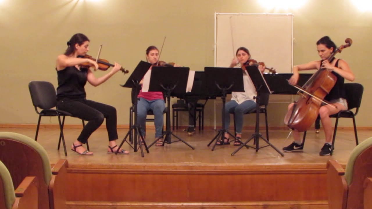 Promotional video thumbnail 2 for Stela Mkrtichian, Violinist