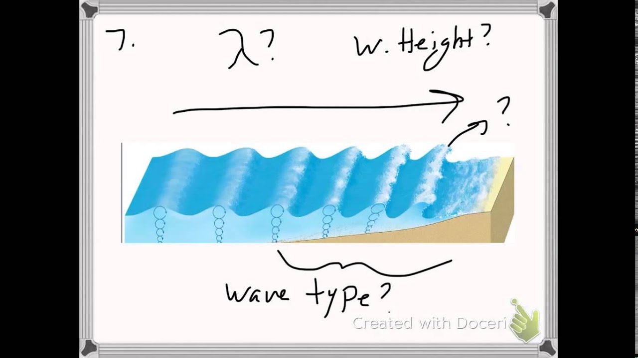 Study Guide Chapter 13