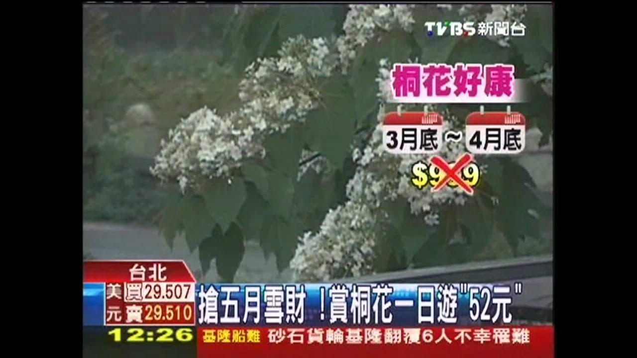 搶5月雪財！　賞桐花一日遊「52元」