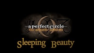 A Perfect Circle ~ Sleeping Beauty (Acoustic With Lyrics)