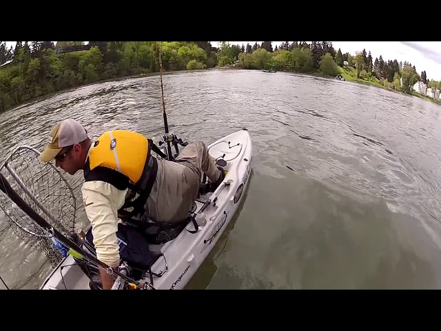 Kayak Fisherman hit by Boat