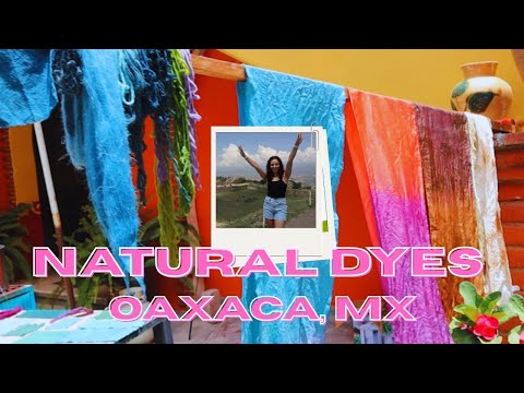 A bunch of art teachers go to Mexico to learn about natural dyes - Study Abroad in Oaxaca