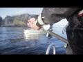 Södra Lofoten 2014