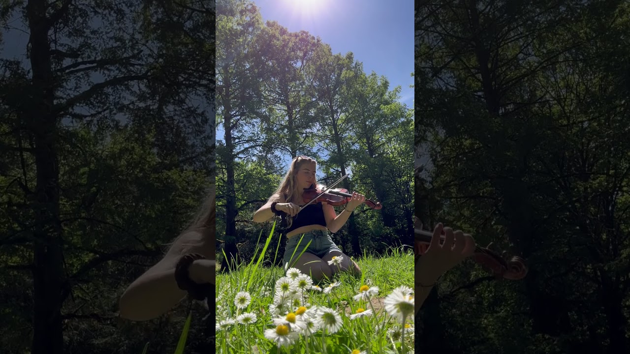 Promotional video thumbnail 2 for The Fiddle Fairy