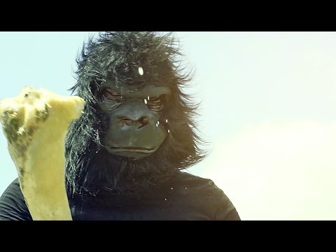 Les Fleurs Des Maladives - Homo Sapiens (Official Video)