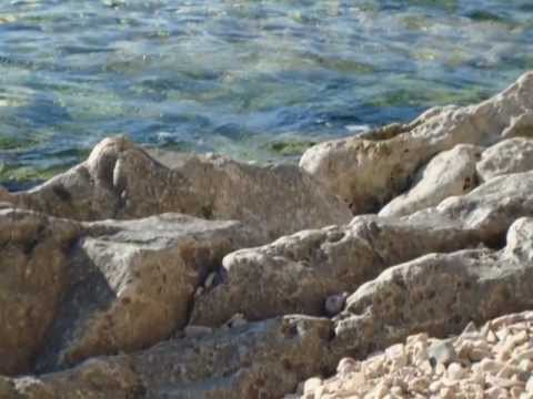 Bepo Matešić & David Ricov - Ne krij oči zelene