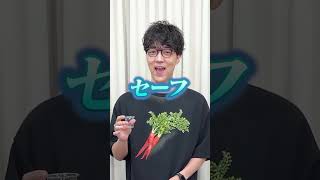 日本より国土面積が大きい国を選べ！間違えたら罰ゲーム💀 #Shorts