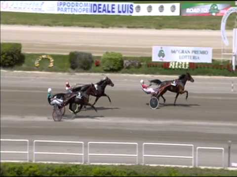 Trotto 03/05/2015 - 1° corsa Speed Race FINALE