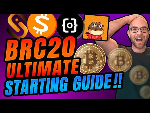 Mastering the BTC Ecosystem Comprehensive Guide to BRC20, Inscriptions, Stacks Layer 2, and Stamps!