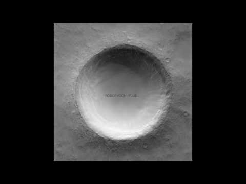 Robot Koch - Fluid (feat Julien Marchal)