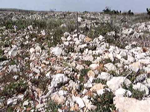 Karabatic i Ronaldinho hvataju zmije u Ražancu