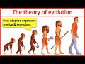 The theory of evolution & natural selection | Learn with examples