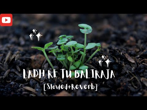 Ladh Re Tu Baliraja [ Slowed +Reverb ]  - Shetkari Anthem _ Navardev (Bsc. Agri) _Kshitish Date,