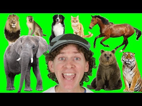 A to Z Alphabet Animals Chant with Matt | Learn Animals Names | Alphabet for Kids