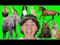 A To Z Alphabet Animals Chant With Matt Learn Animals Names Alphabet For Kids
