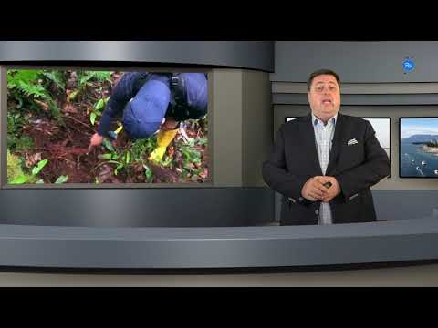 Newsflash #87 mit Aurania Resources & Revival Gold
