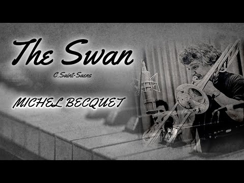 The Swan From 'Carnival of the Animals' C Saint Saens - MICHEL BECQUET