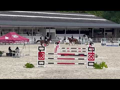 LILLY LOVELY DU CAILLOU CYLCLES GESVES