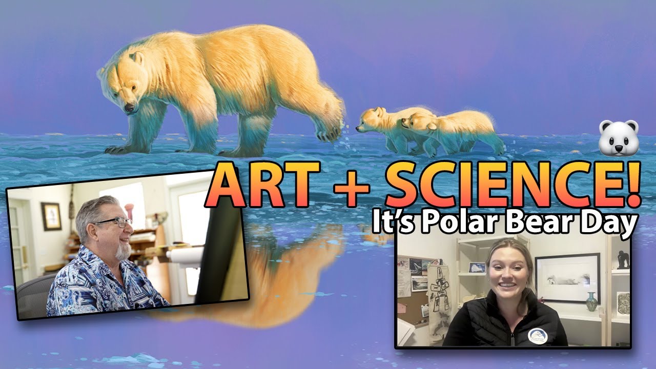 🐻‍❄️ Polar Bear Day Interview / Saving The Polar Bears + Exclusive Art! (Alysa McCall PBI Scientist)