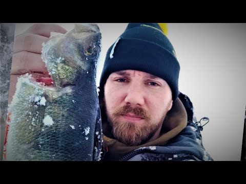 PILKKIUKON VLOG | TURINOITA JA SUUNNITELMIA!