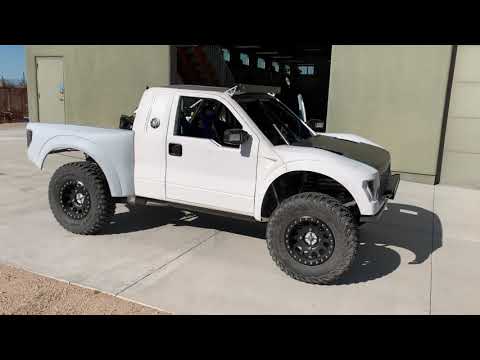 Mini-Raptor Walk Around