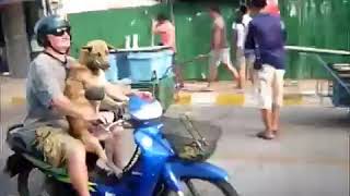 Таиланд. Русские туристы. Приколы. Ржач))))