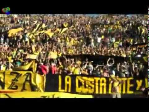 "Barra Amsterdam- Soy del carbonero si señor" Barra: Barra Amsterdam • Club: Peñarol