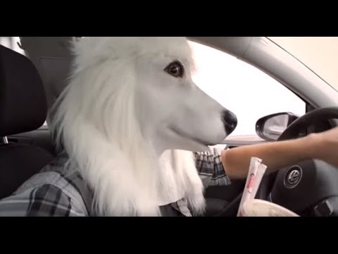 geschenkidee.ch - Die verrückten Tiermasken aus Latex