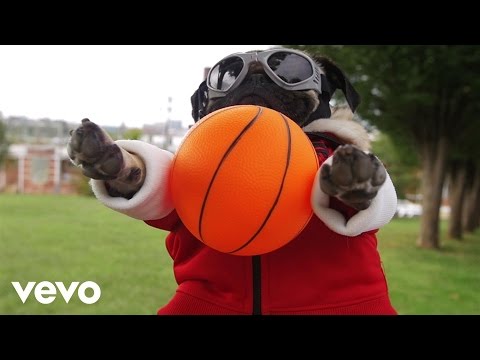 Fall Out Boy - Irresistible (Starring Doug The Pug) ft. Demi Lovato