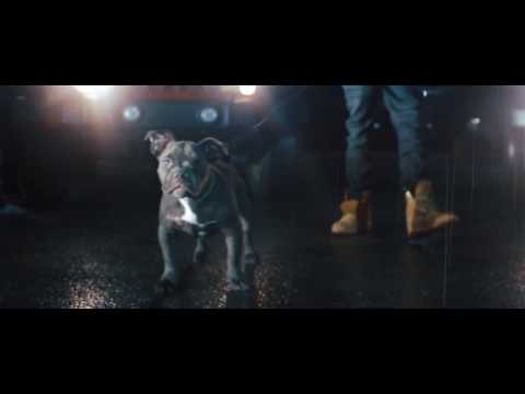 King OSF "Stack It" Dir.Alex Sandoval