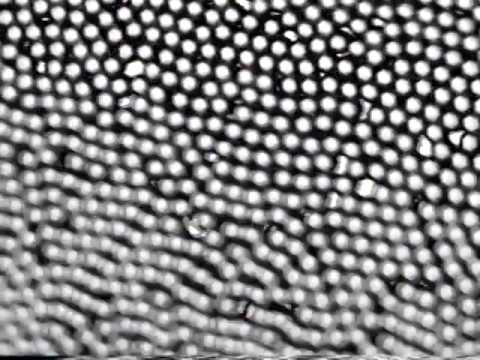 Class of 2000-Bones Bearings