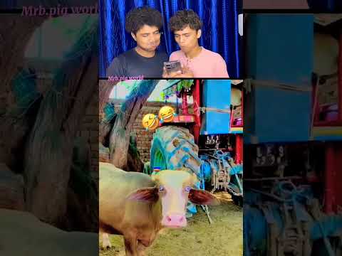 Haseeta video ko like karna.Or.Chanel subscribe karna social media# Laughing video🤣🤣🤣😂😂