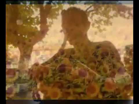 Savaş & Tarkan Güngibi Doğdu Yarim