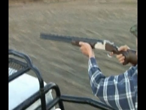 Hare shooting south Africa 2025